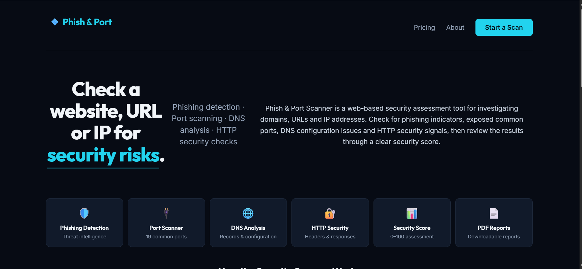 Port & Phish Scanner interface